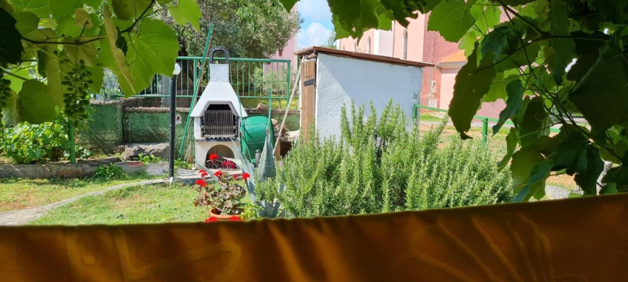 Apartmani Centar Seline Paklenica Εξωτερικό φωτογραφία
