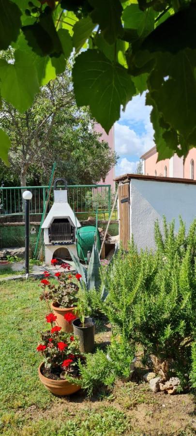 Apartmani Centar Seline Paklenica Εξωτερικό φωτογραφία